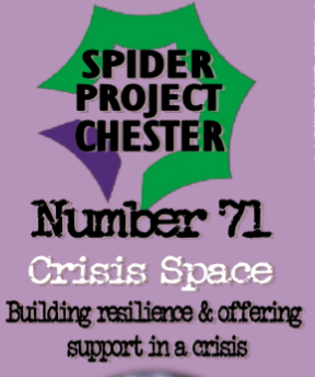 Spider project
